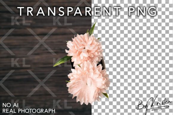 Download Isolated Fabric Flowers PNG Stock Image - Stock image Collection